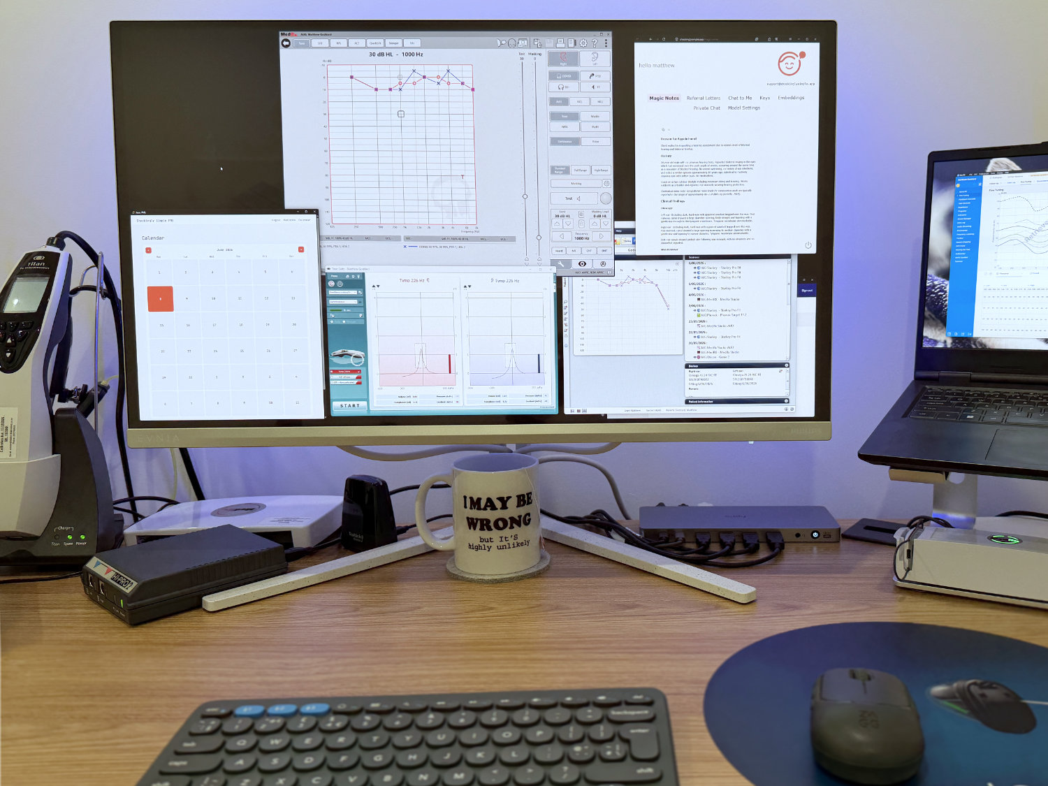 Audiogram, REMs, programming, review